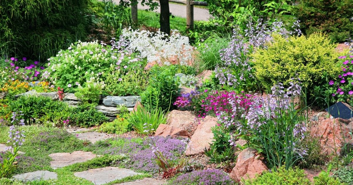 Comment faire un parterre de fleurs sans entretien ?